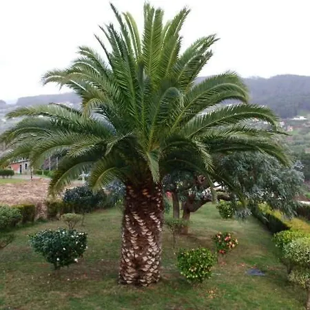 Holiday home Pantin, Surf And Garden With Bbq *